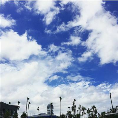 帝一娱乐app下载截图